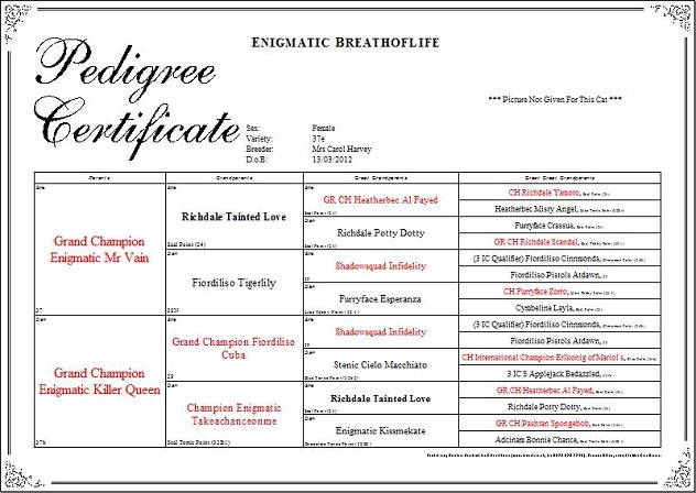 Pedigree of Champion Enigmatic Lili Marlene