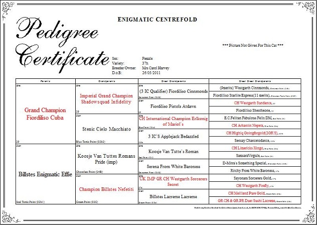 Pedigree of Enigmatic Centerfold