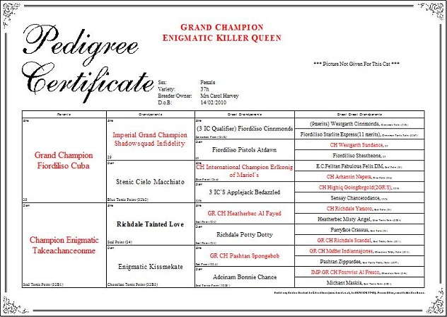 Grand Champion Enigmatic Killer Queen Pedigree