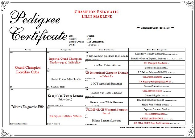 Pedigree of Champion Enigmatic Lili Marlene